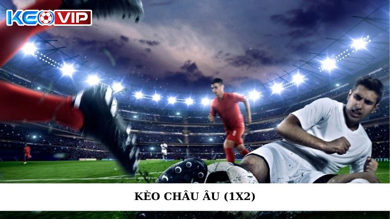 Kèo Châu Âu (1x2) - Cách Chơi, Mẹo Cược Và Lưu Ý Quan Trọng