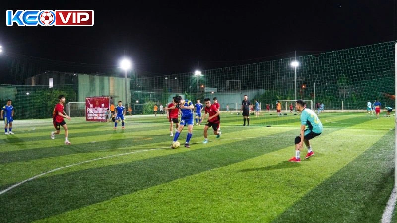 Tiến hành phân tích toàn đội bóng